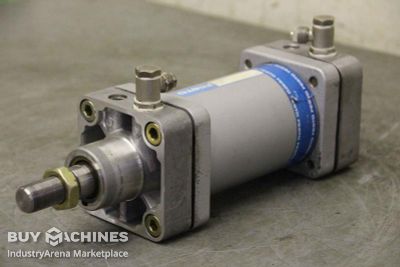 Pneumatic cylinders Festo DN-80-100-PPV
