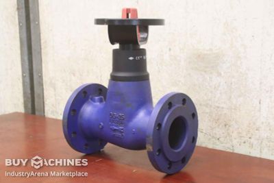 Gate valve with flange connection ARI JL1040  DN80 PN16